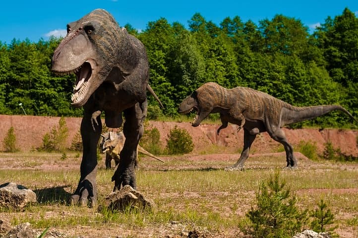 Two T-Rex dinosaurs roaming grassland